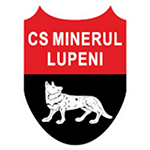 Minerul Lupeni